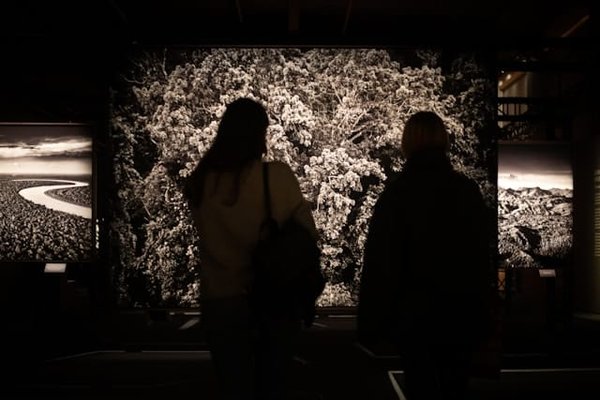 Comment suivre et fidéliser les contacts après un vernissage ?